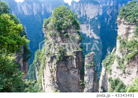 Mountain landscape zhangjiajie national park china Mountain landscape zhangjiajie national park china 43343491