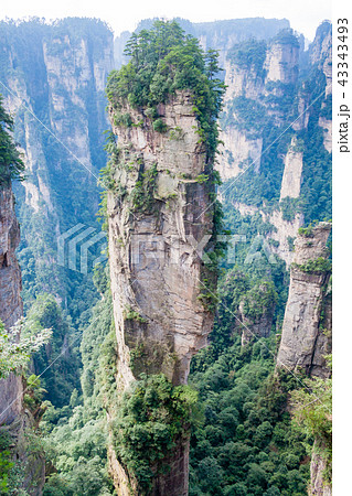 Mountain landscape zhangjiajie national park china Mountain landscape zhangjiajie national park china 43343493