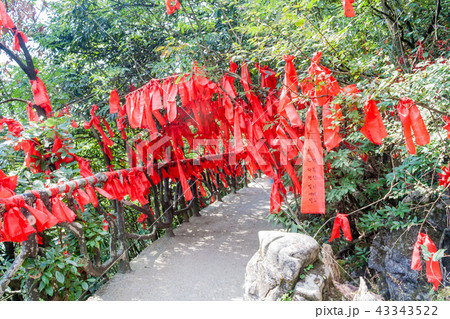 Mountain landscape zhangjiajie national park china Mountain landscape zhangjiajie national park china 43343522