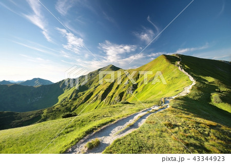 Trial to the peak in Tatra Mountains Trial to the peak in Tatra Mountains 43344923