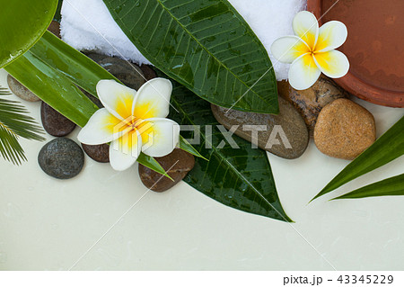 Spa stones with green leaves, flowers  43345229