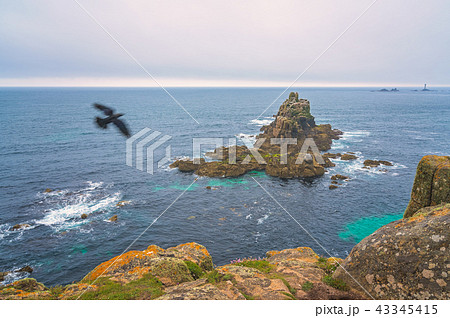 Bird flying over the Lands End Bird flying over the Lands End 43345415