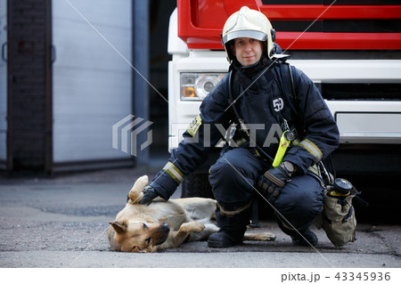 Photo of firefighter sitting squatting next to service dog at fire engine 43345936