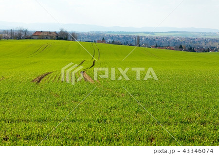 Agriculture Agriculture 43346074