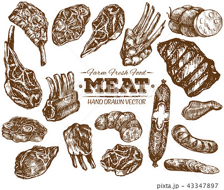 Hand drawn fresh farm meat bbq sketch 43347897