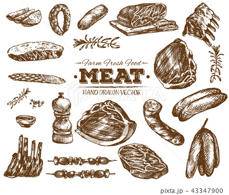 Hand drawn fresh farm meat bbq sketch 43347900
