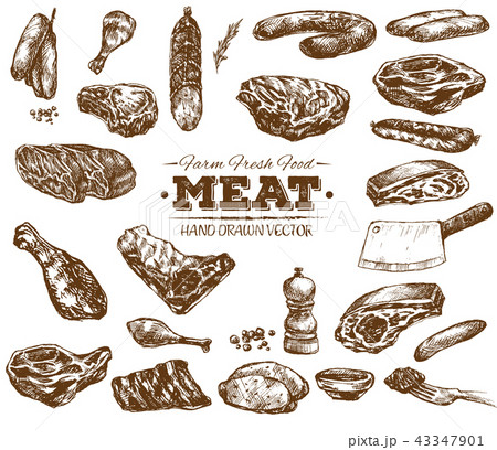 Hand drawn fresh farm meat bbq sketch 43347901