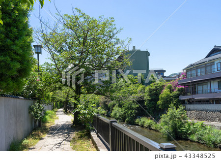 松川遊歩道 43348525