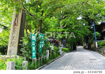 高尾山自然研究路１号路入口 不動院前 の写真素材