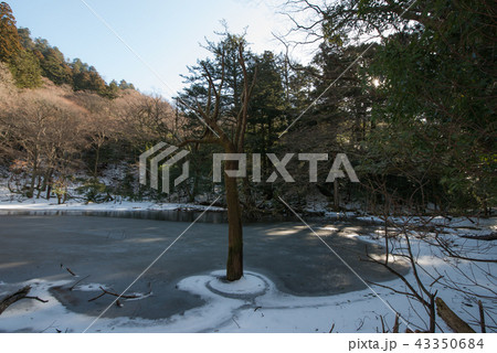 シラヌタの池 43350684