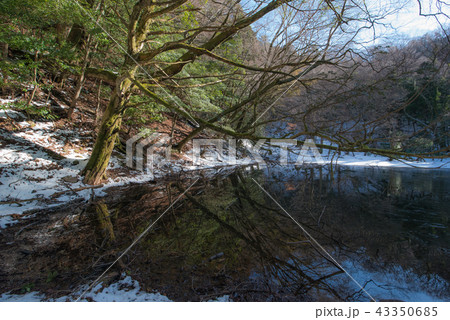 シラヌタの池 43350685