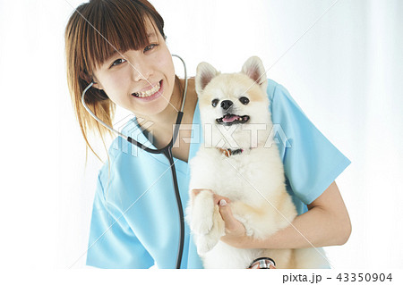 獣医 43350904