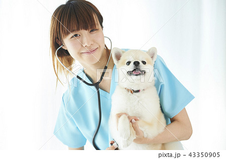 獣医 43350905