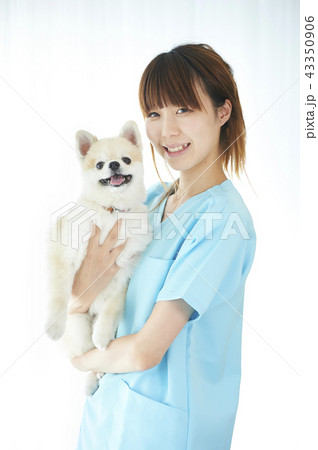 獣医 獣医 43350906