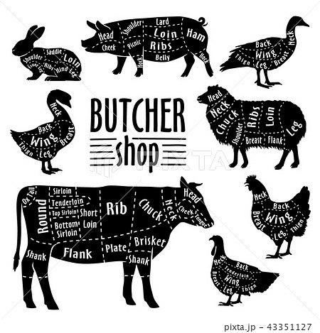 Cut of animals meat, diagram for butcher. Meat cut set Cut of animals meat, diagram for butcher. Meat cut set 43351127