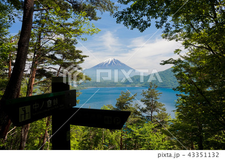 中之倉峠 富士山 中之倉峠 富士山 43351132