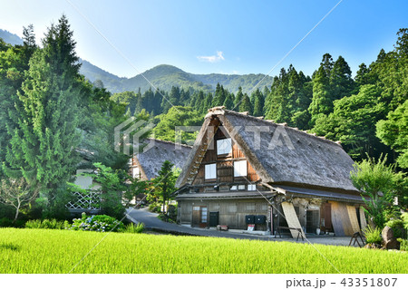 白川郷 43351807