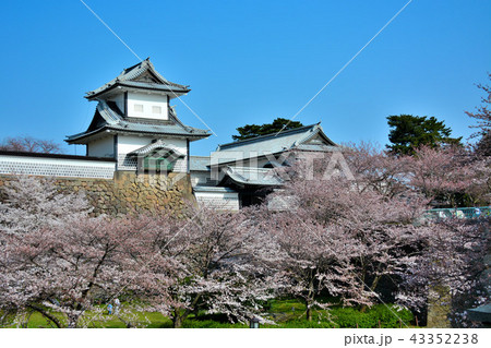 桜の金沢城公園（１９）・石川門口・兼六園より眺める金沢城のランドマーク、石川門 43352238