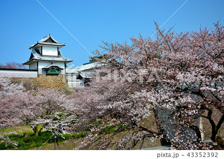 桜の金沢城公園(64)・石川門口・兼六園より眺める金沢城のランドマーク、石川門 桜の金沢城公園(64)・石川門口・兼六園より眺める金沢城のランドマーク、石川門 43352392