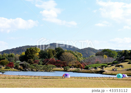 丸山公園と傘 43353112