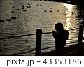 夕日と子供 43353186