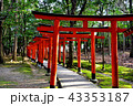 長山稲荷神社の鳥居 43353187