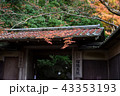瑠璃光院の門 43353193