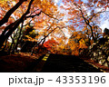 談山神社の坂の紅葉 43353196