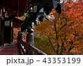 談山神社の手すりと紅葉 43353199