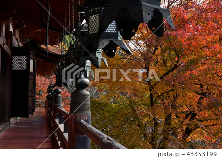 談山神社の手すりと紅葉 43353199