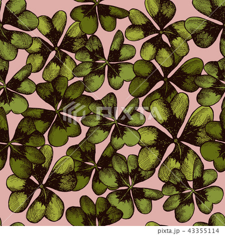 Vector seamless pattern with compositions of hand drawn oxalis Vector seamless pattern with compositions of hand drawn oxalis 43355114