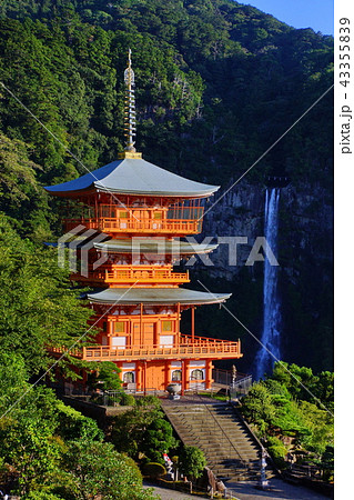 熊野那智大社　那智大滝 ＆ 青岸渡寺 三重塔 （和歌山県 東牟婁郡 那智勝浦町 ） 43355839