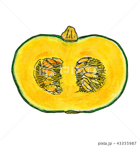 かぼちゃ2 43355987