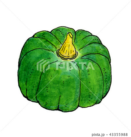かぼちゃ3 かぼちゃ3 43355988