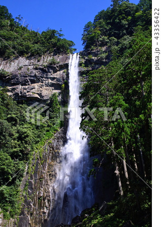 熊野那智大社 那智大滝 (和歌山県 東牟婁郡 那智勝浦町 ) 熊野那智大社 那智大滝 (和歌山県 東牟婁郡 那智勝浦町 ) 43356422