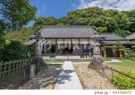 金蓮寺8360 金蓮寺8360 43356472