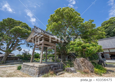 金蓮寺8348 金蓮寺8348 43356475