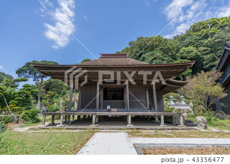 金蓮寺8330 金蓮寺8330 43356477