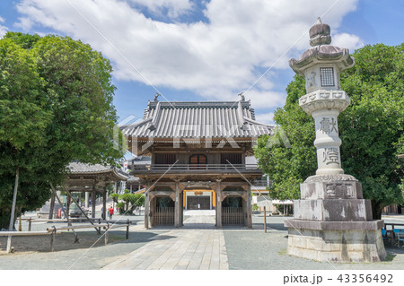 豊川稲荷8238 豊川稲荷8238 43356492