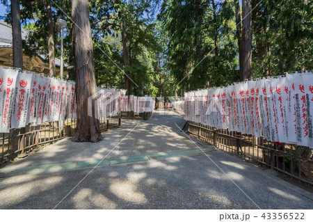 豊川稲荷7955 43356522