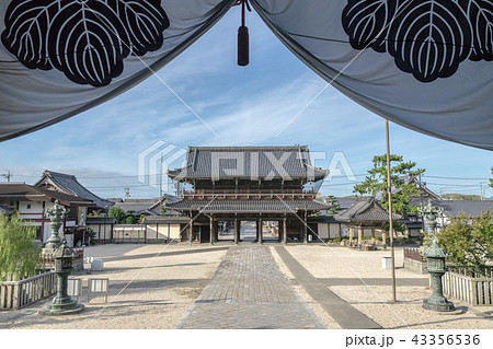 高田本山専修寺7804 43356536