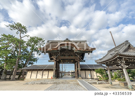 高田本山専修寺7735 43356539