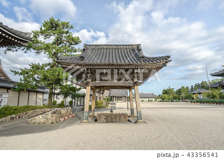 高田本山専修寺7723 高田本山専修寺7723 43356541