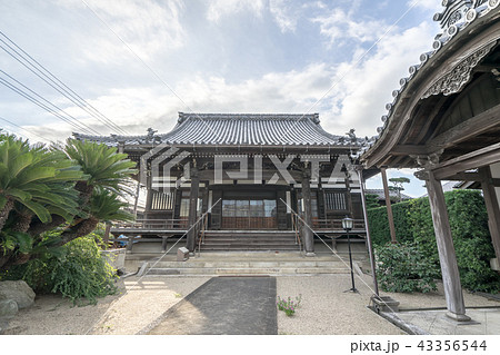 高田本山専修寺7699 43356544