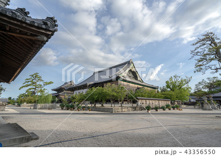 高田本山専修寺7648 43356550