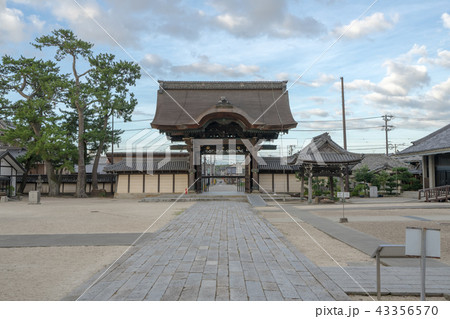 高田本山専修寺7517 43356570