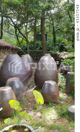 ママ 母 お母さん 43357548