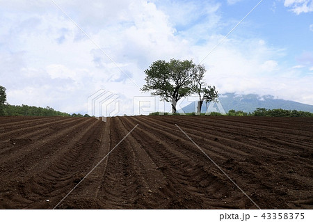 北海道・ニセコ 北海道・ニセコ 43358375