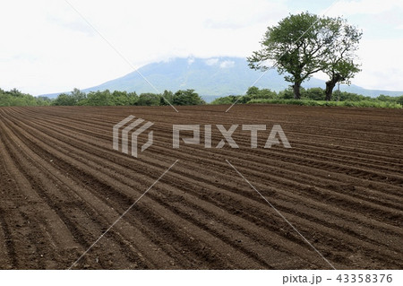 北海道・ニセコ 43358376