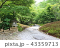 日本庭園 43359713